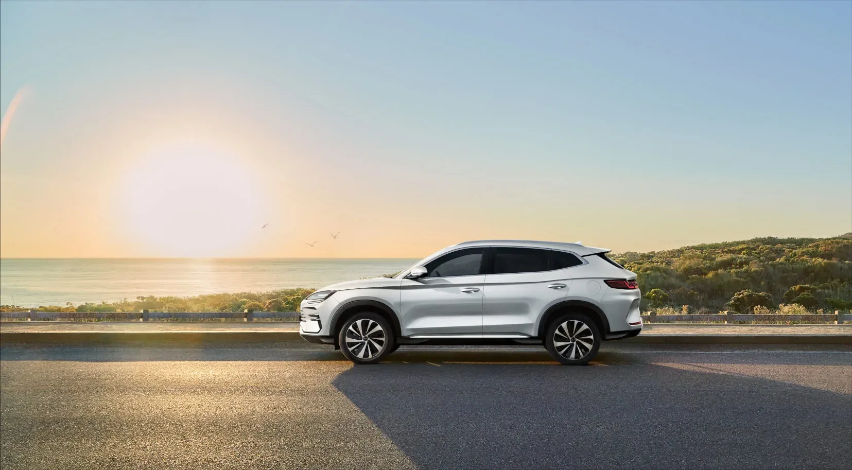 byd_sealion_6_images_3