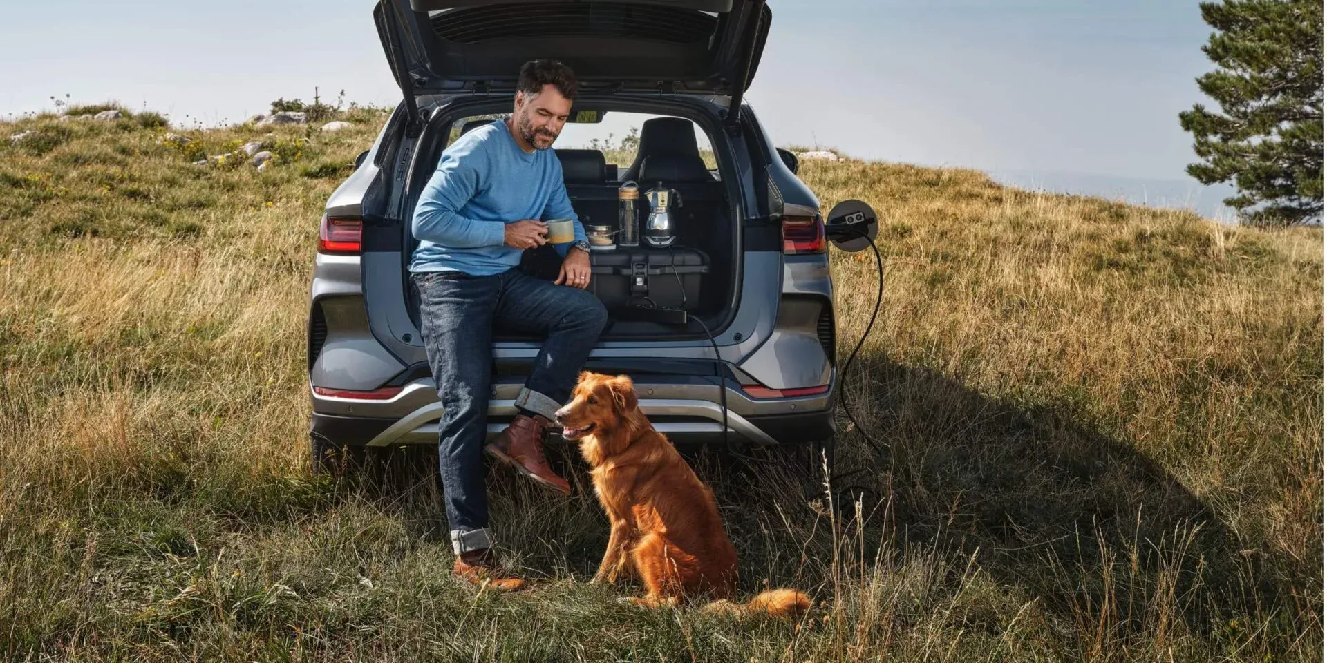 byd_sealion_6_images_8