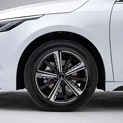 seal_5_dmi_feature_4_32c90f0c8d