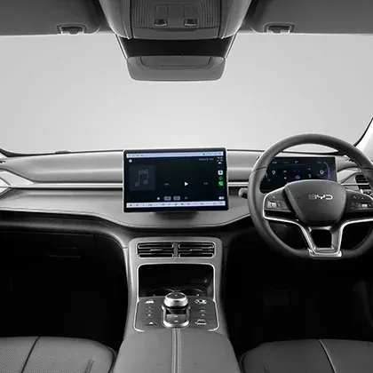 seal_5_dmi_feature_6_e9f33fc824