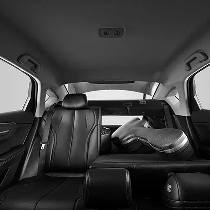 seal_5_dmi_feature_8_46e7dee73c